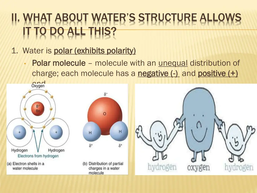 ii what about water s structure allows