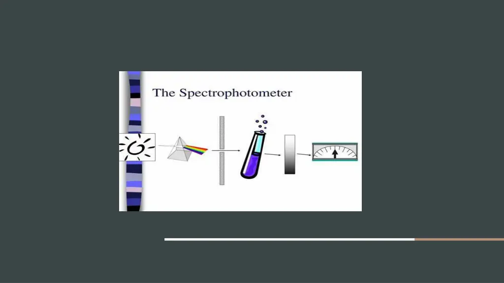 slide6