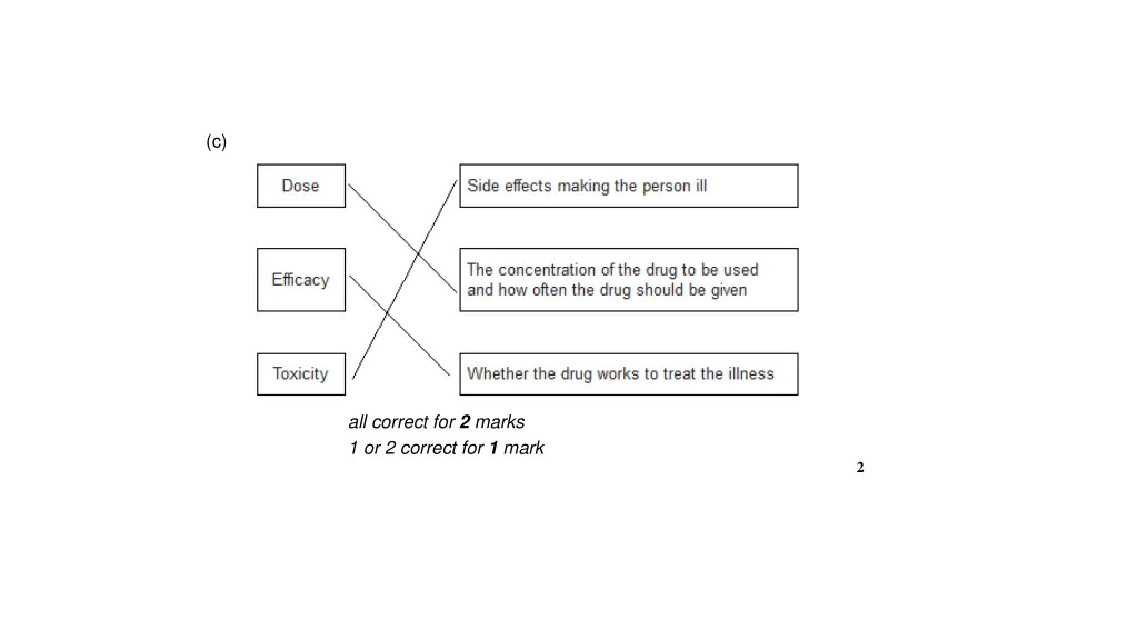 slide19
