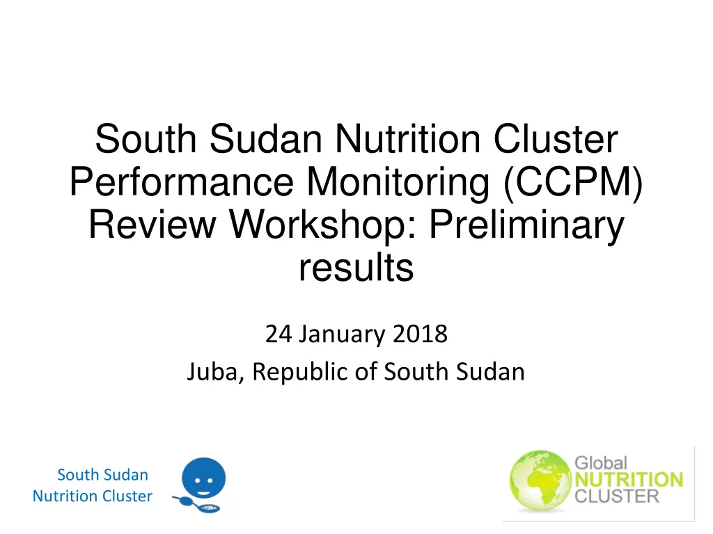 south sudan nutrition cluster performance