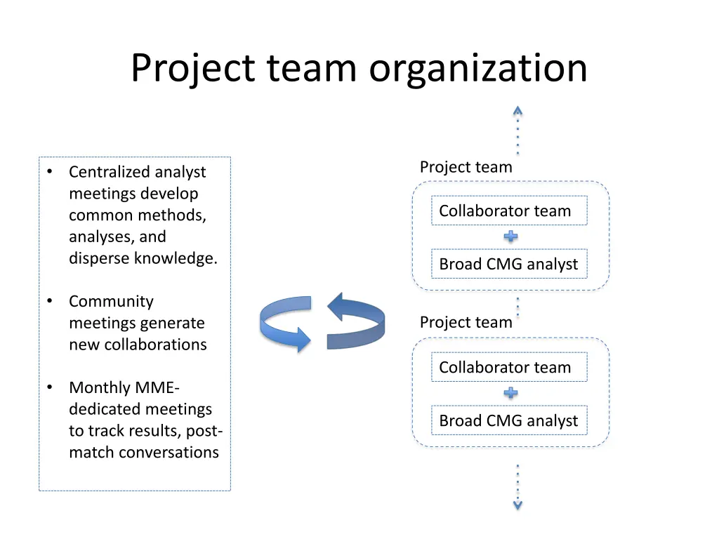 project team organization