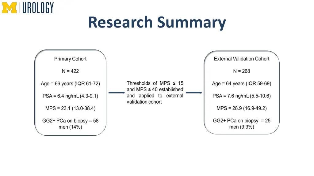 research summary