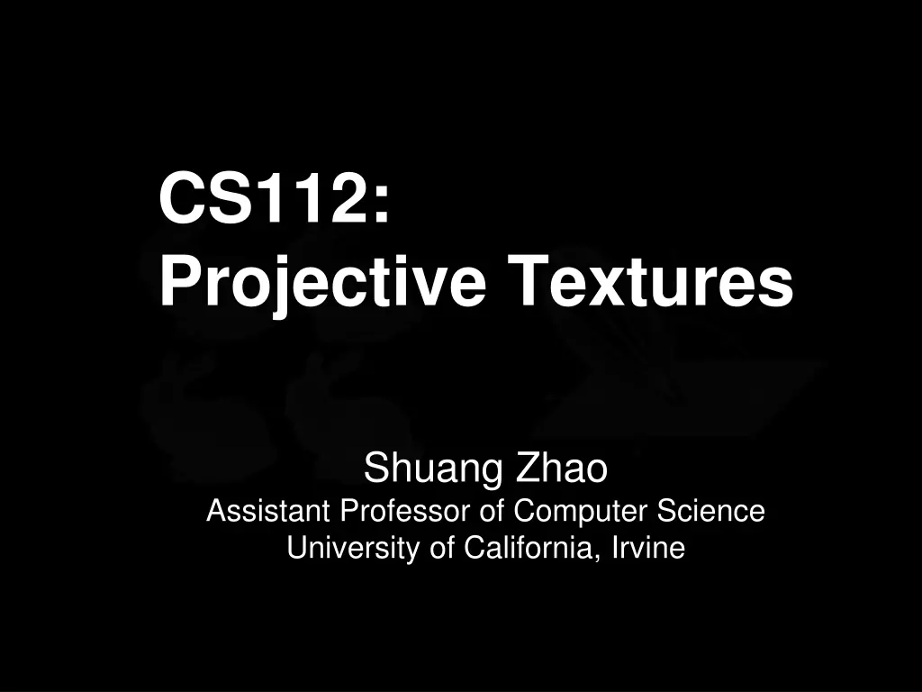 cs112 projective textures