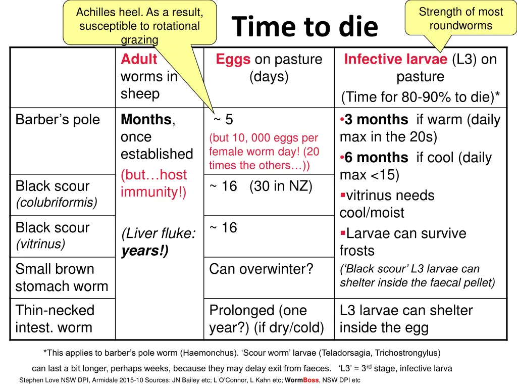 strength of most roundworms