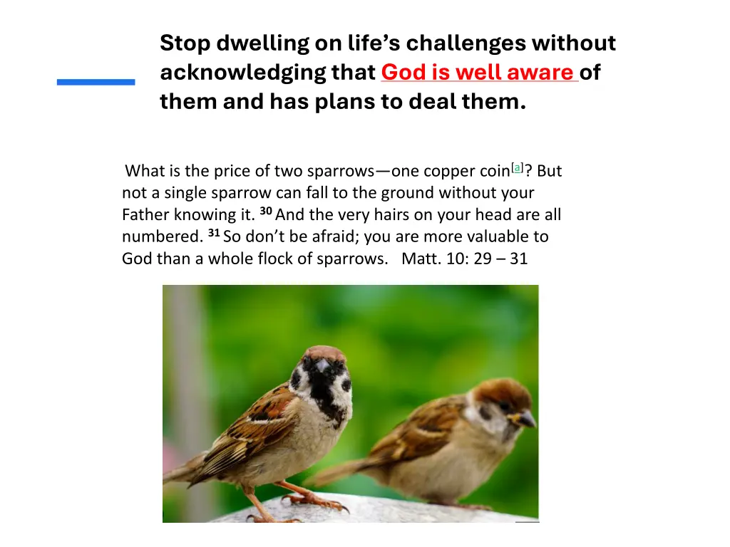 stop dwelling on life s challenges without