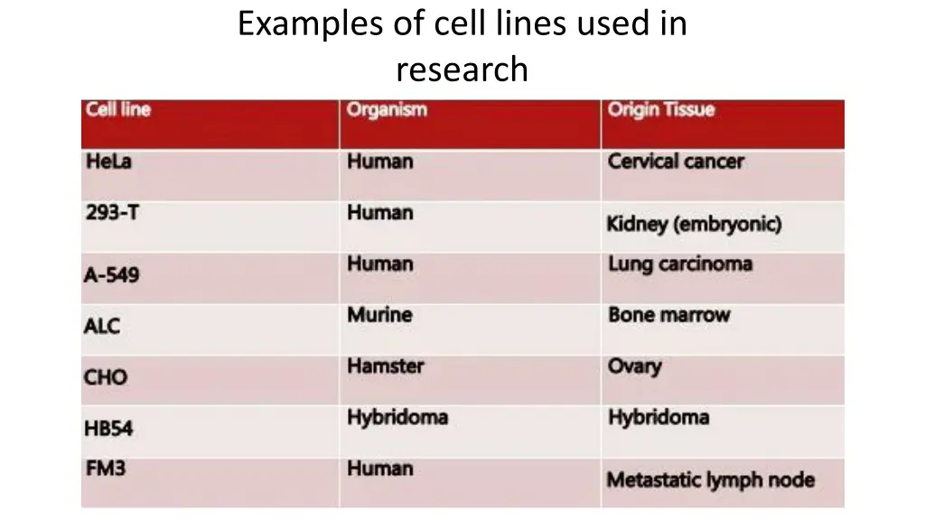 examples of cell lines used in research