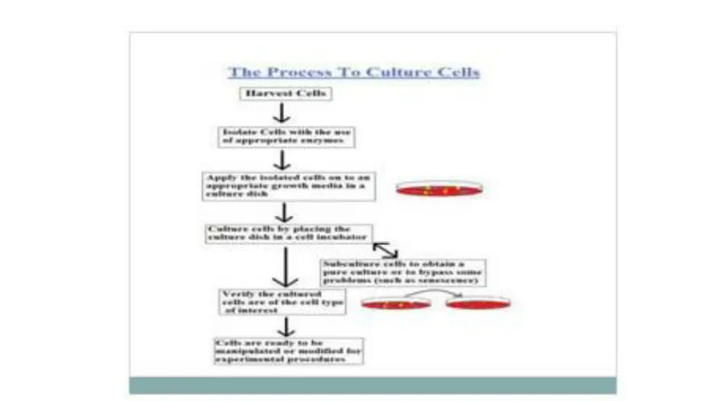 slide11
