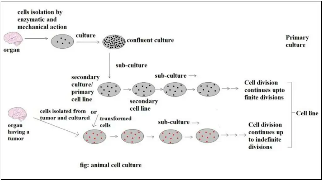 slide12