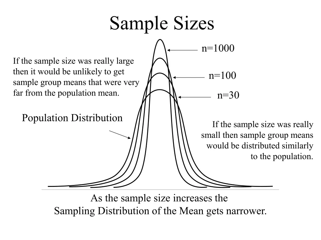 sample sizes