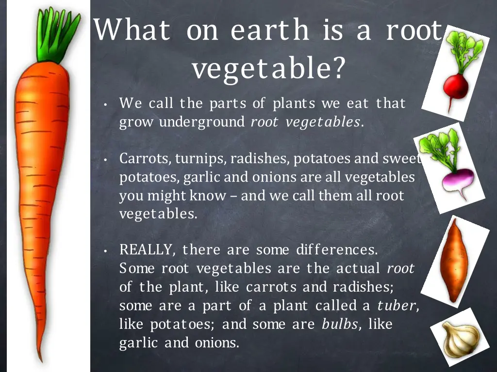 what on earth is a root vegetable