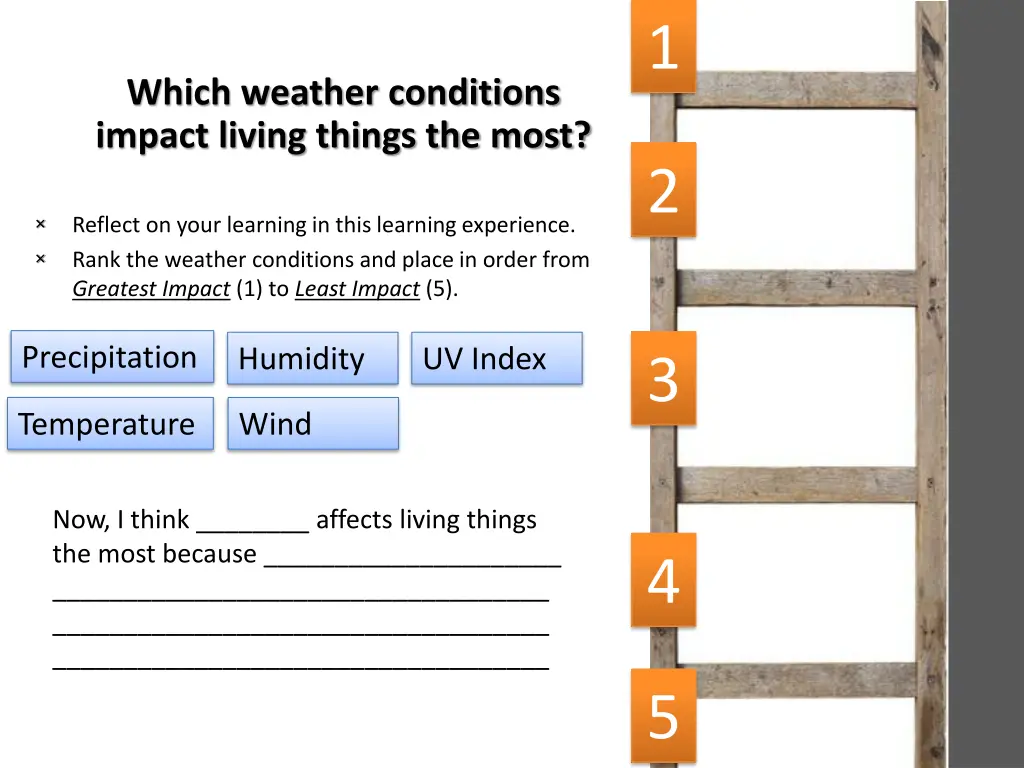 slide33