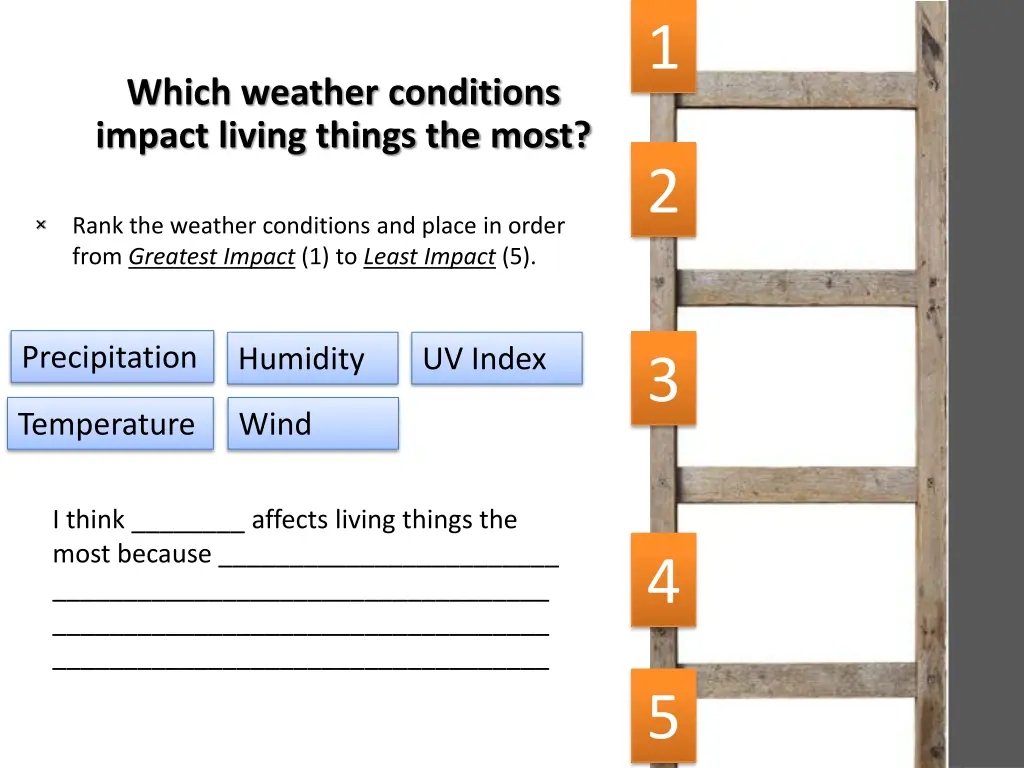 slide4