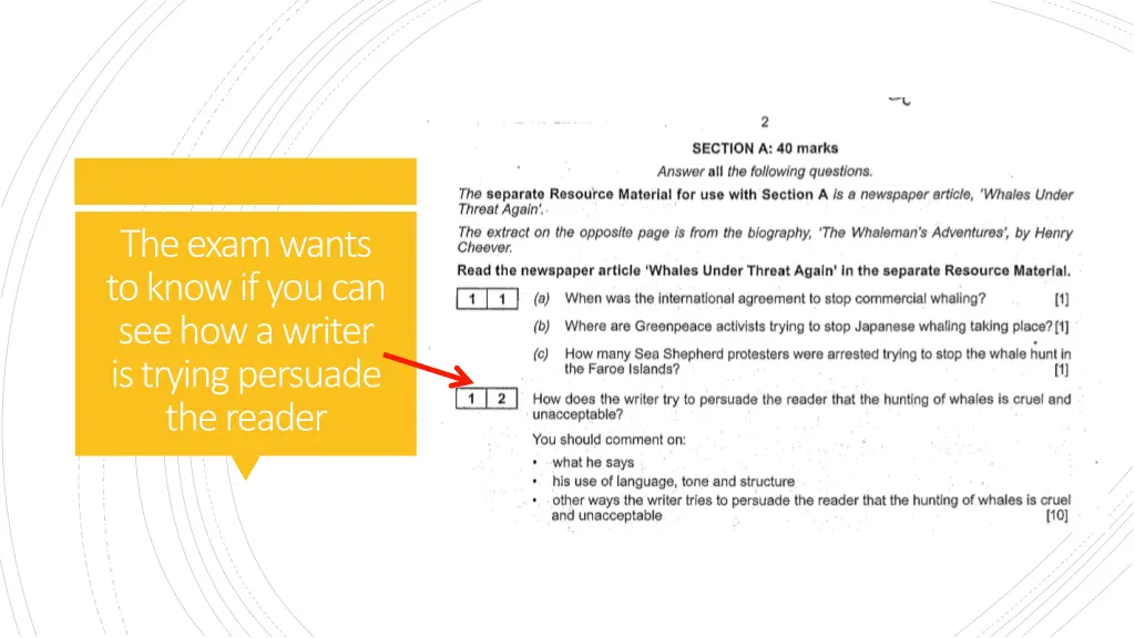 the exam wants to know