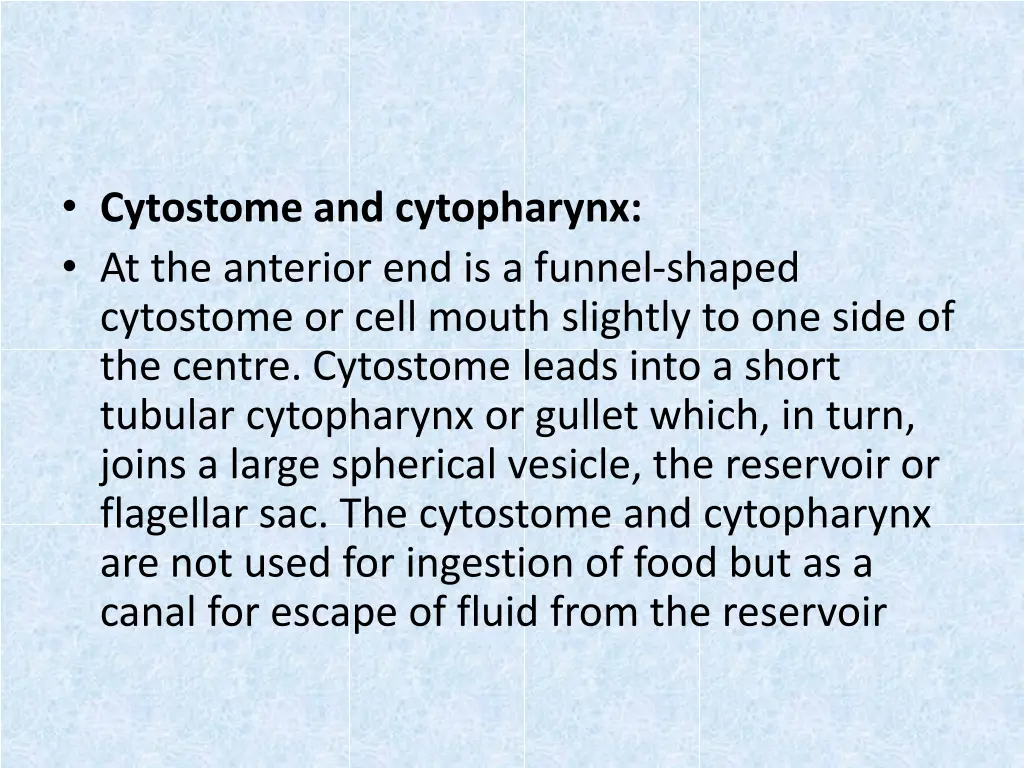 cytostome and cytopharynx at the anterior