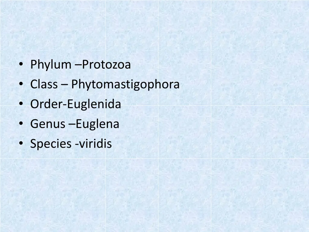 phylum protozoa class phytomastigophora order