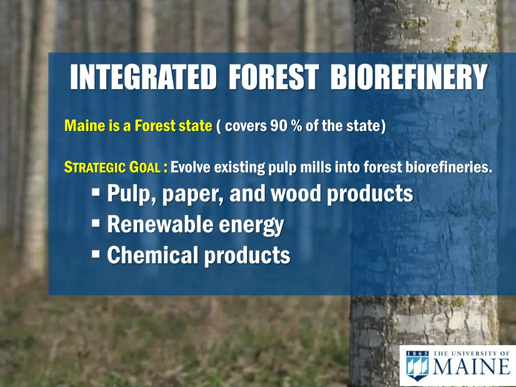 integrated forest biorefinery