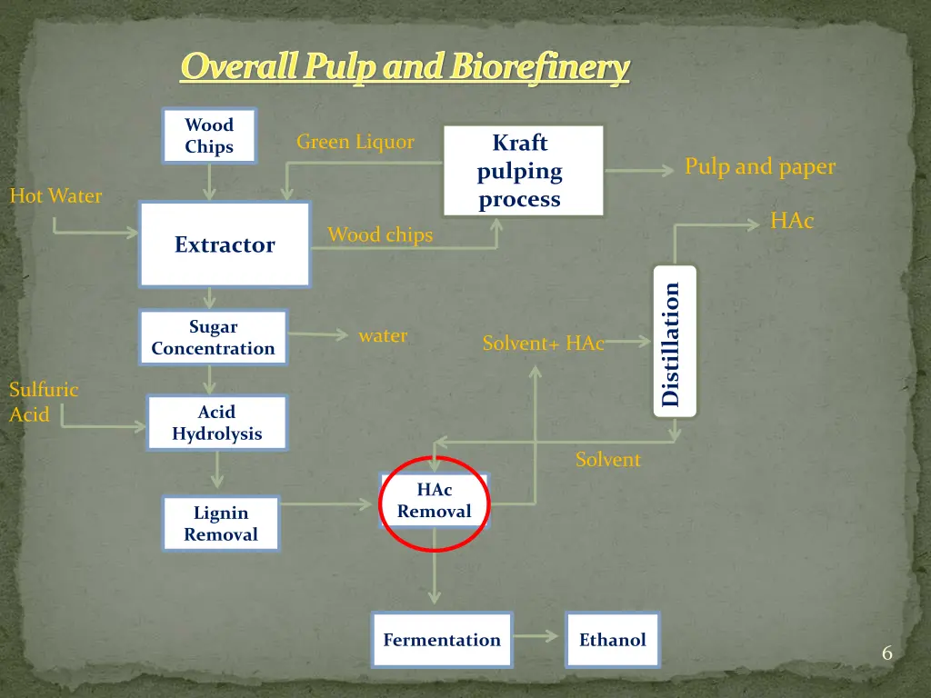 overall pulp and biorefinery