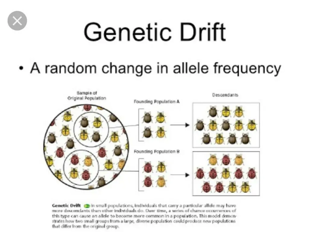 slide21