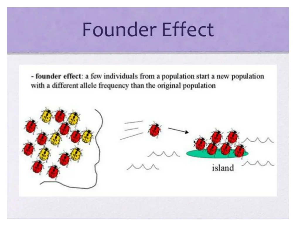 slide23