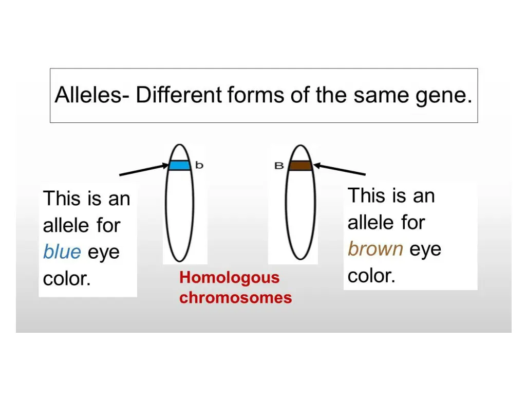 slide3