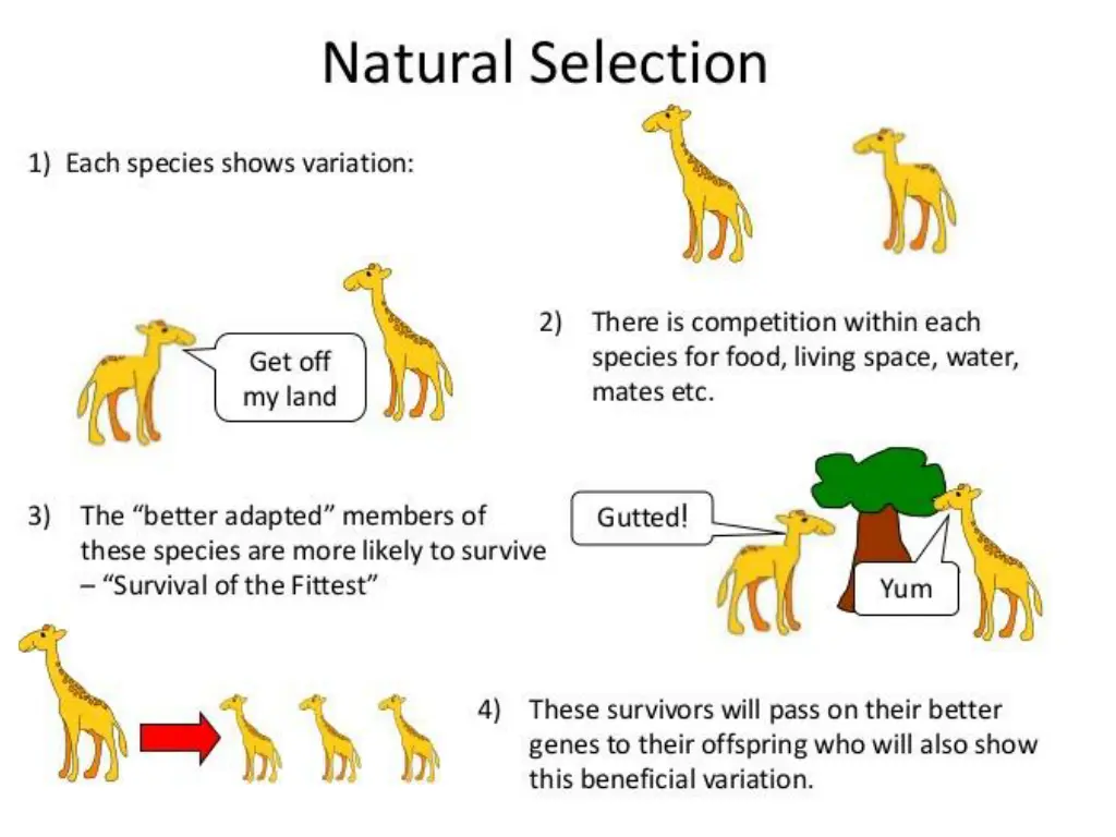 slide30