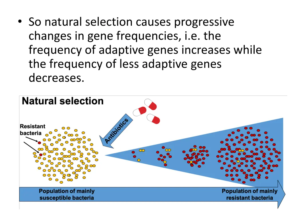 so natural selection causes progressive changes