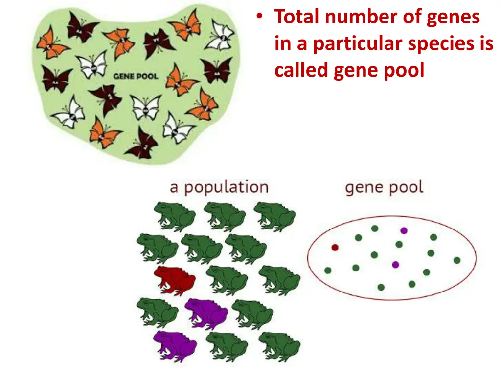 total number of genes in a particular species