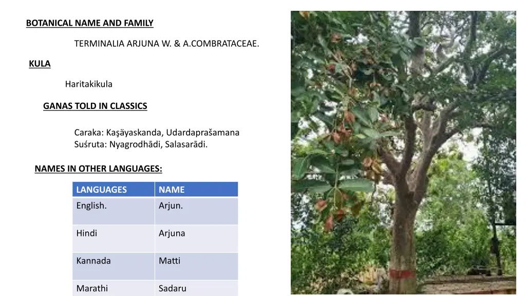 botanical name and family