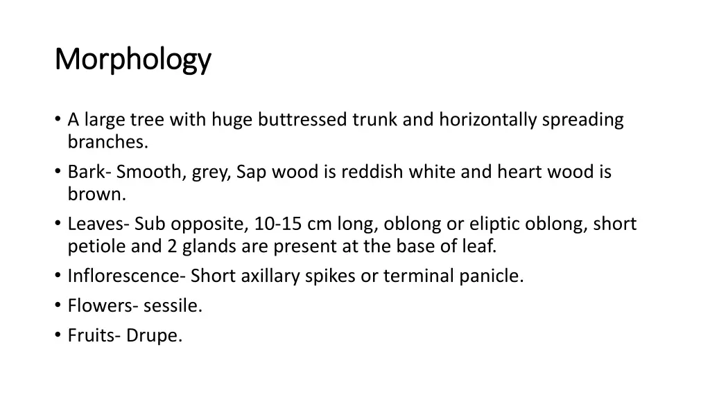morphology morphology