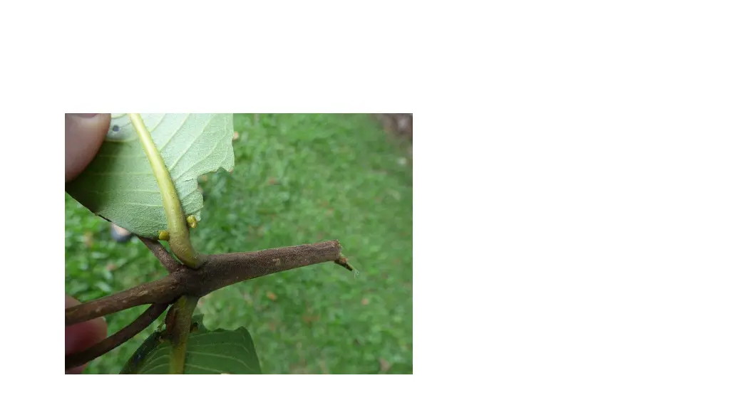 slide5