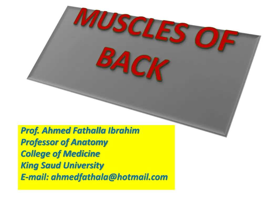 prof ahmed fathalla ibrahim professor of anatomy
