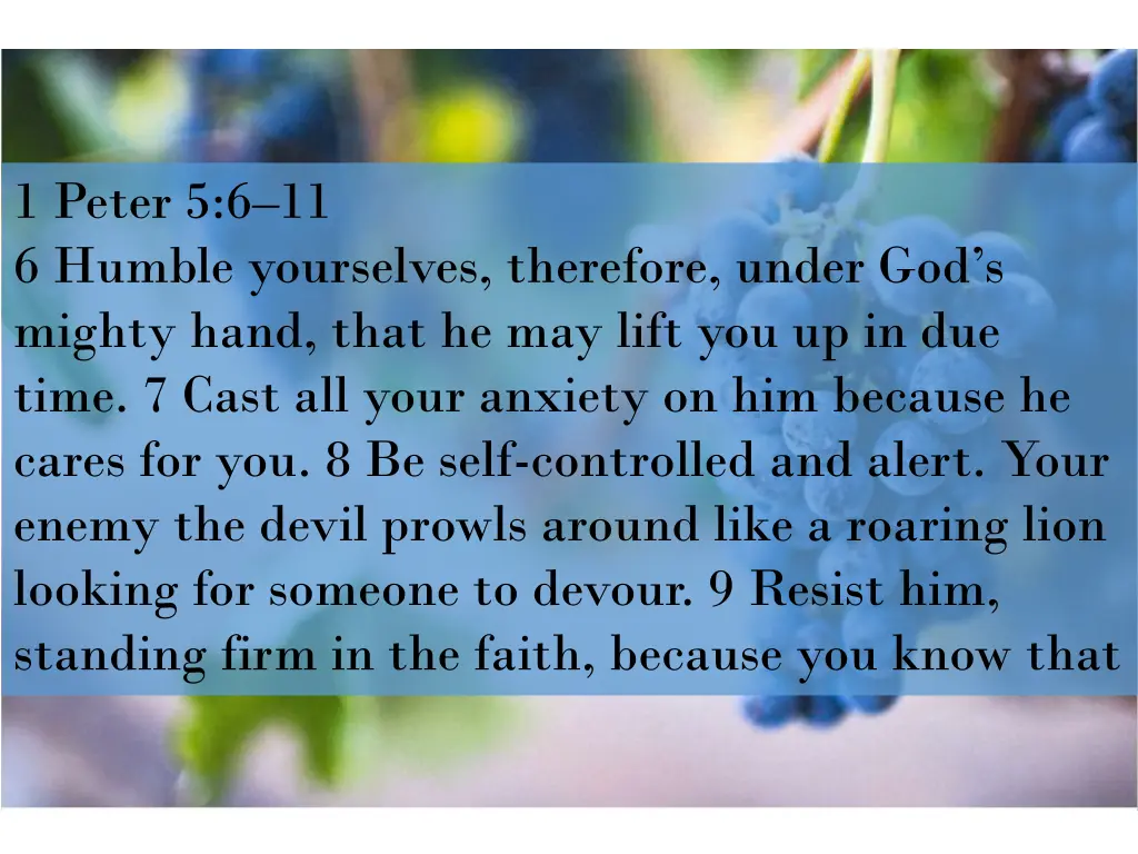 1 peter 5 6 11 6 humble yourselves therefore