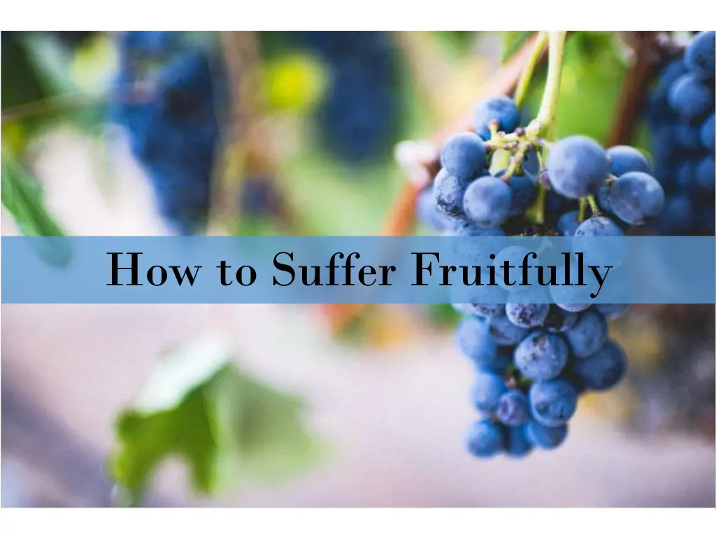 how to suffer fruitfully