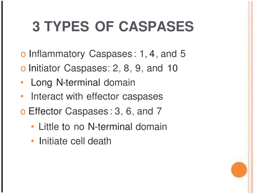 3 types of caspases