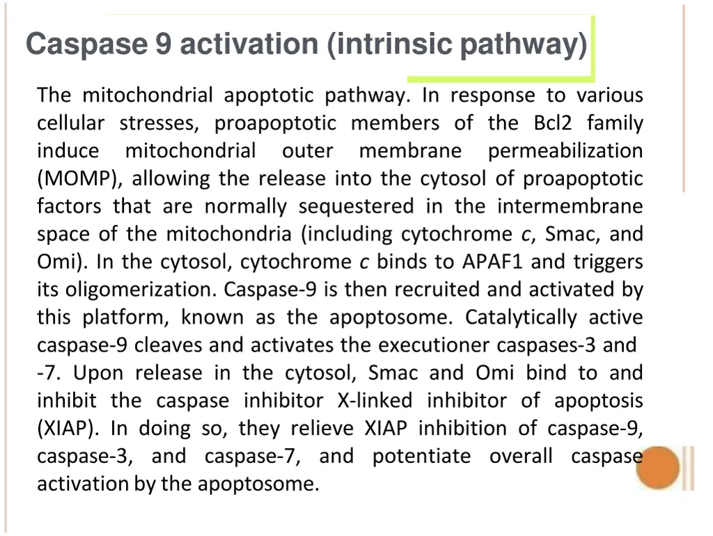 caspase 9 activation intrinsic pathway