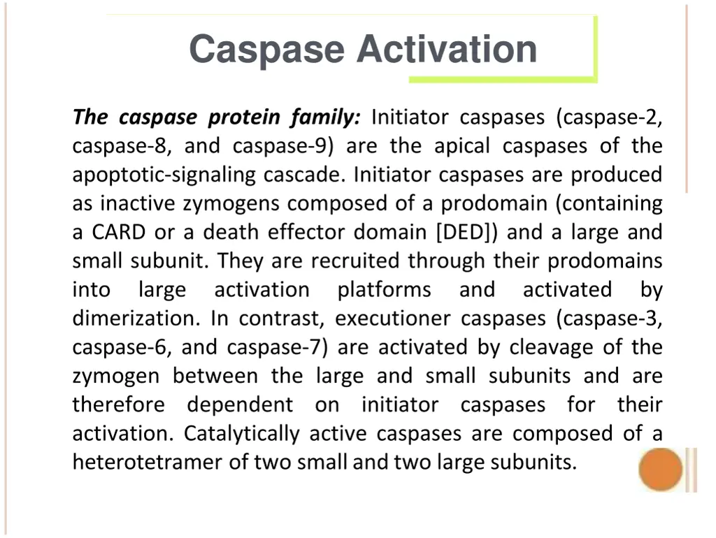 caspase activation 1