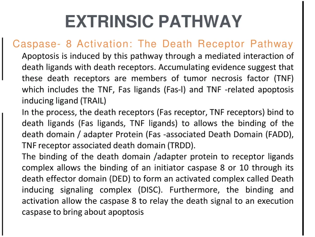 extrinsic pathway 1