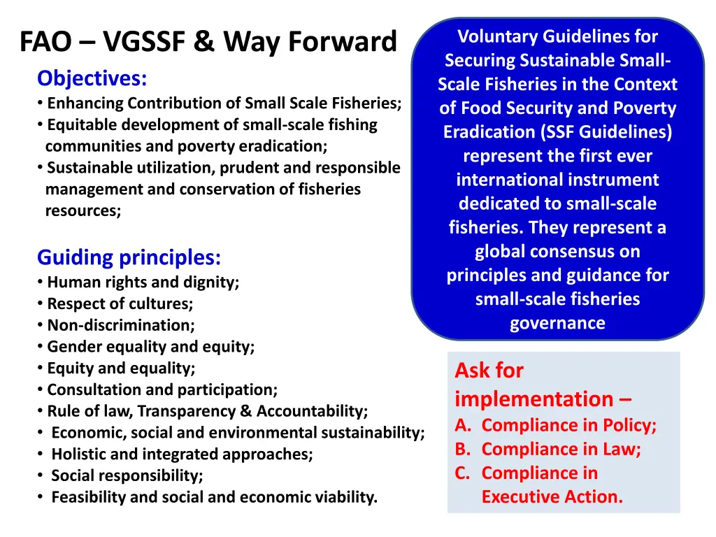 fao vgssf way forward objectives enhancing