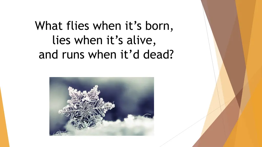 what flies when it s born lies when it s alive