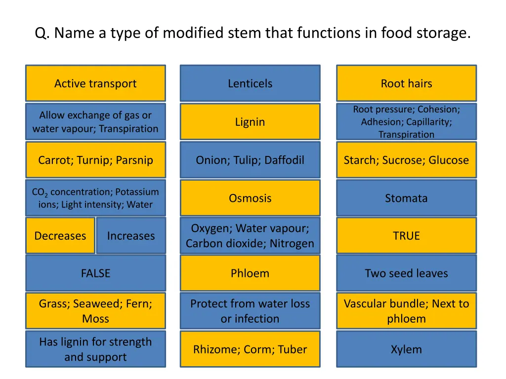 q name a type of modified stem that functions