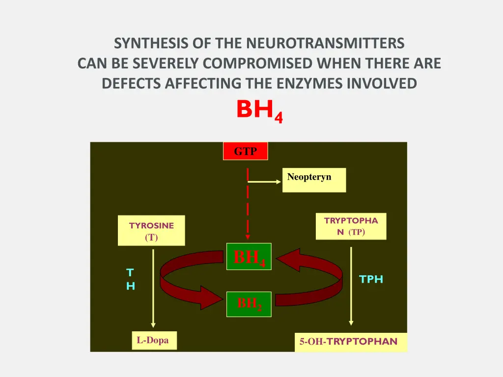 synthesis of the neurotransmitters