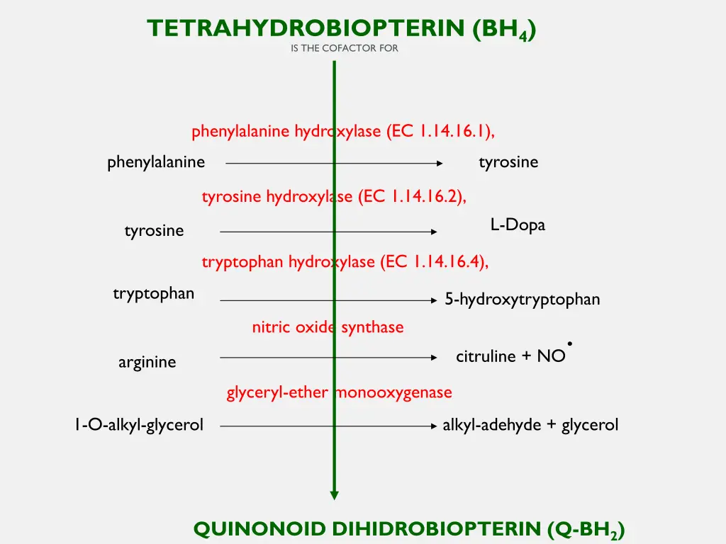 tetrahydrobiopterin bh 4 is the cofactor for