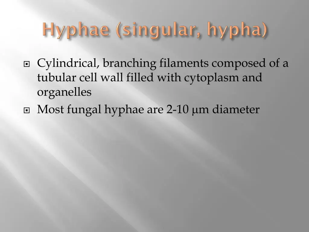 cylindrical branching filaments composed