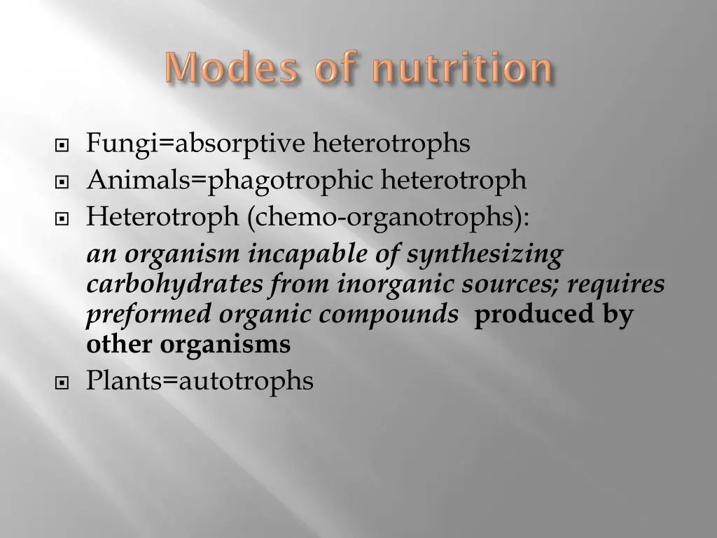 fungi absorptive heterotrophs animals