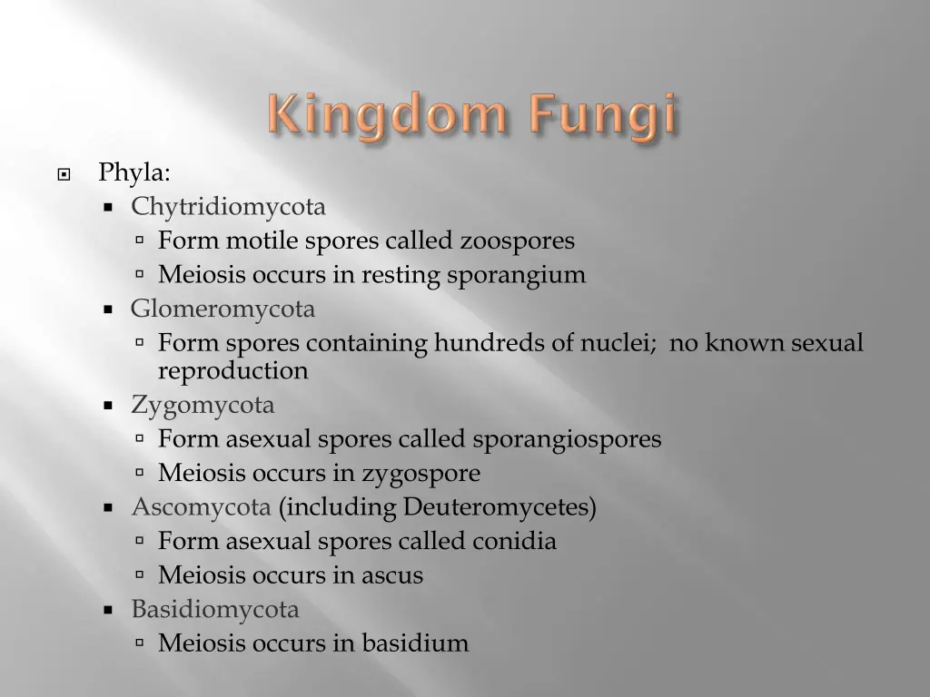 phyla chytridiomycota form motile spores called