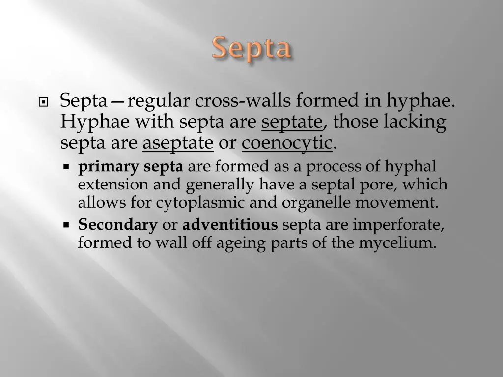septa regular cross walls formed in hyphae hyphae