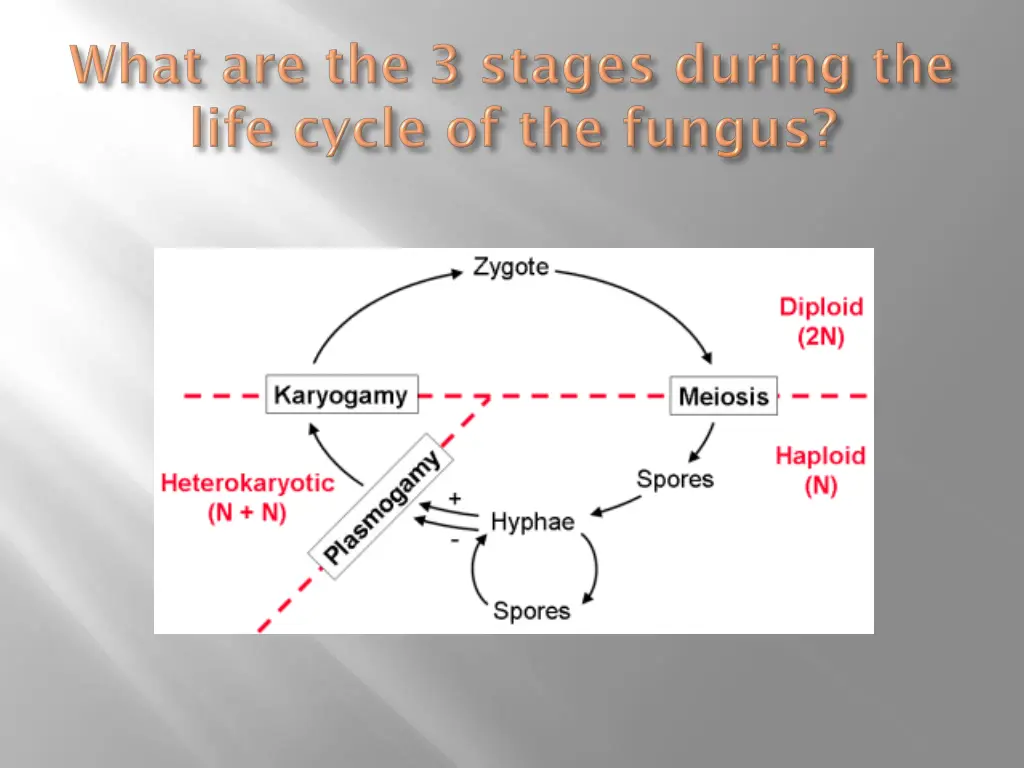 slide12