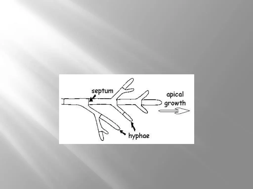 slide6