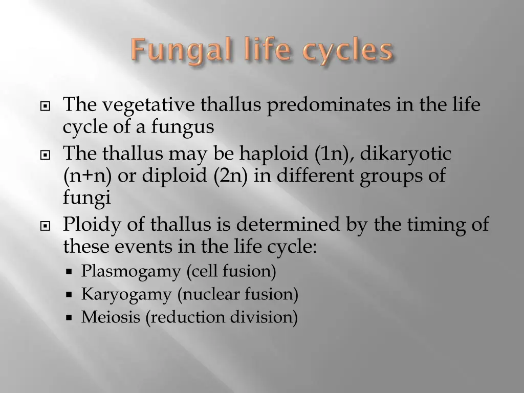 the vegetative thallus predominates in the life