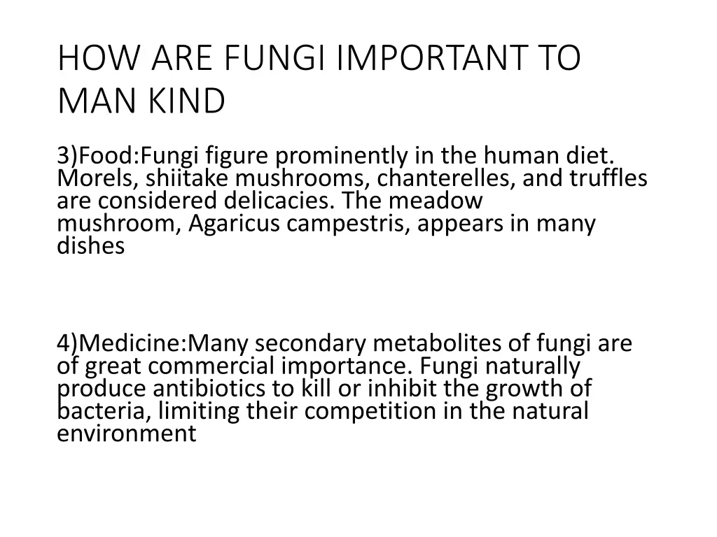 how are fungi important to man kind